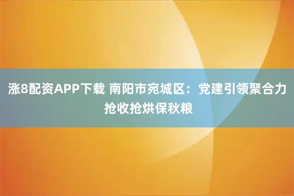 涨8配资APP下载 南阳市宛城区：党建引领聚合力 抢收抢烘保秋粮