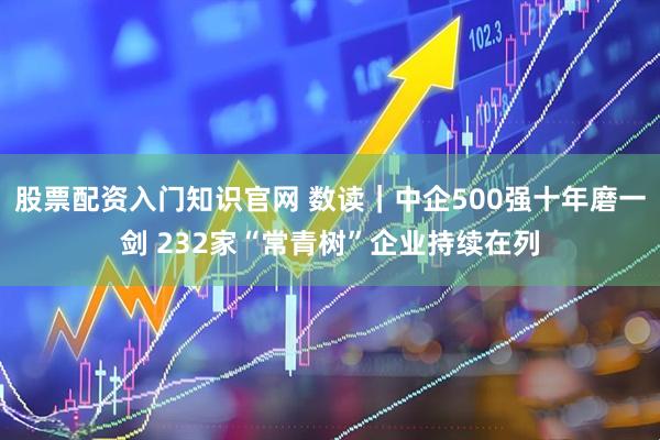 股票配资入门知识官网 数读｜中企500强十年磨一剑 232家“常青树”企业持续在列